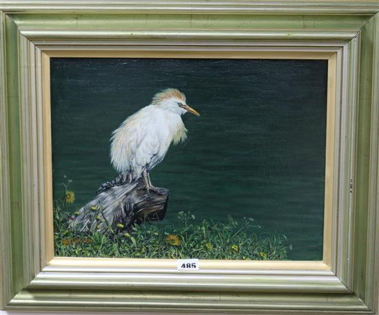 Reginald Denison oil on canvas Cattle Egret, 29 x 39cm